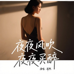 夜夜风吹夜夜买醉(好听版)