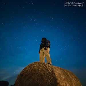 Sommer Sonne Kaktuseis