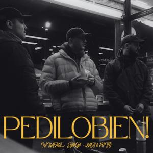 Pedilo bien (feat. Shakya & Dash & Punto)