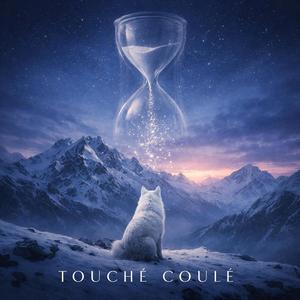 Touché Coulé