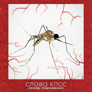 Шмелиный хайп