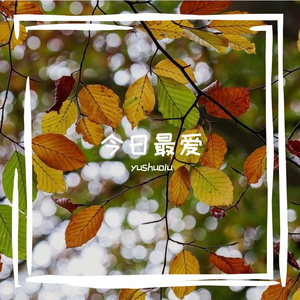 今日最爱
