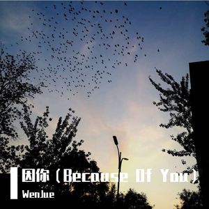 因你(Because Of You)（翻自 BlackACE）