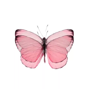 Res火车 - 煤油和钠