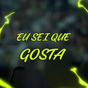 EU SEI QUE GOSTA