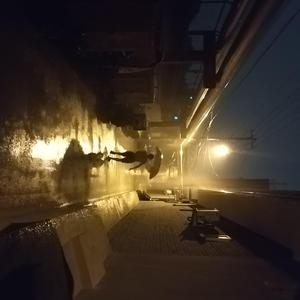 记十二岁那年我与父亲走过的冬天