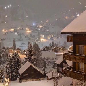 亲爱的姑娘你为何要离开