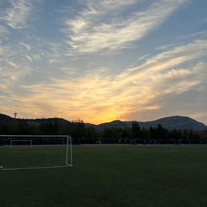 多情种（cover：要不要买菜）