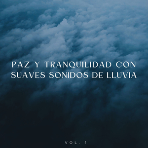 Ligeros Golpes Y Sonidos De Lluvia