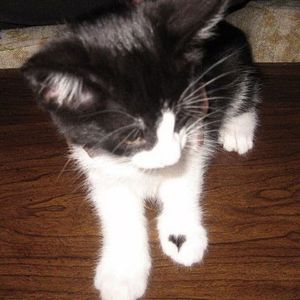 90s的爱 Pluggnb X 90s rnb type beat