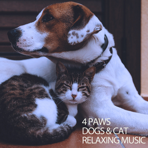 Songs For Cats