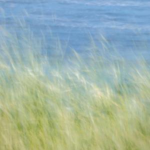 I Gotta Go (Radio Edit)