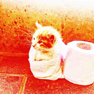 回答(Prod By AZYAIRE)