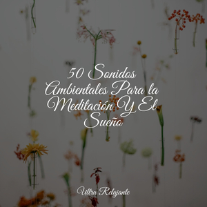 Vibraciones Etéreas