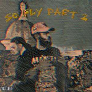 So Fly, Pt. 2 (feat. Dubwork)