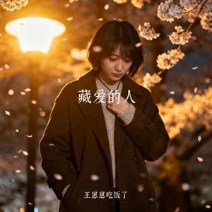 藏爱的人 (Cover 宸枫)