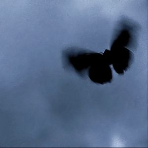 蝴蝶（Lost in Time）