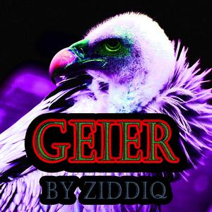 Geier