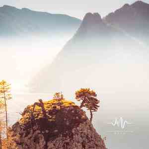 风亦倦 (缓解焦虑)