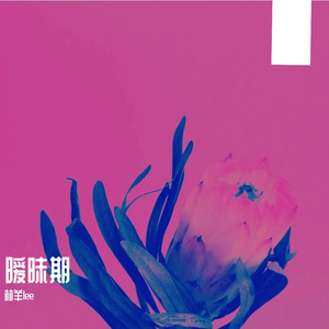 暧昧期