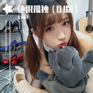 他很孤独（DJ版）