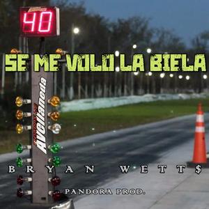 Se me volo la Biela x Bryan Wett$
