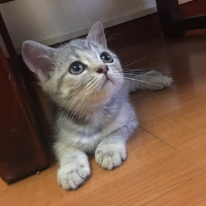 等你的季节（翻自 刘诗诗、吴奇隆）