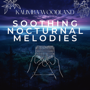 Late Night Lullaby (with Night Sound)