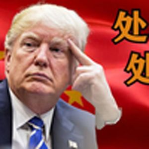 处处吻（川普）