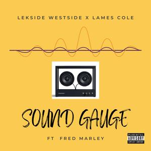 SOUND GAUGE