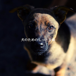 Delightful (Soothing Days)