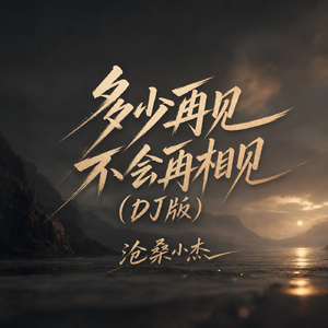 多少再见不会再相见(DJ版)