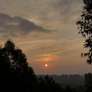 顶freestyle Prod.by房间里的大象