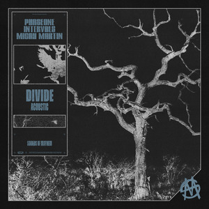 DIVIDE (Acoustic)