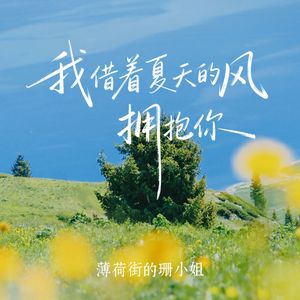 我借着夏天的风拥抱你