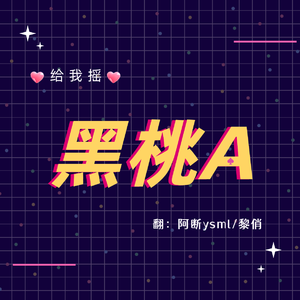 黑桃A（动感DJ）