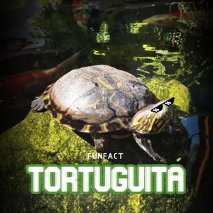 TORTUGUITA