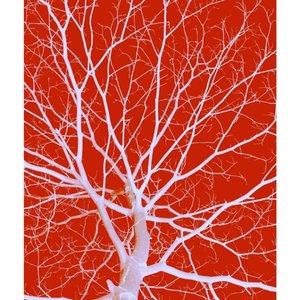 等了三个小时没有等到你