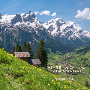 산새들의 노래소리