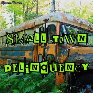Small Town Delinquency