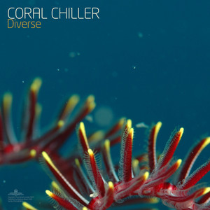 Diverse (Continuous Album Mix)