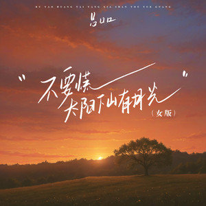 不要慌太阳下山有月光 (DJ吕口口版)