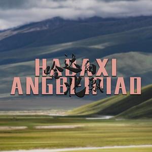 哈达向北漂（DJ版）