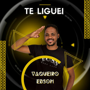 Te Liguei