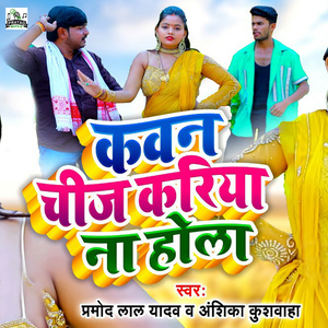 Kawan Chij Kariya Na Hola