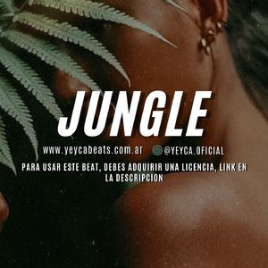 JUNGLE - Afrobeat Instrumental