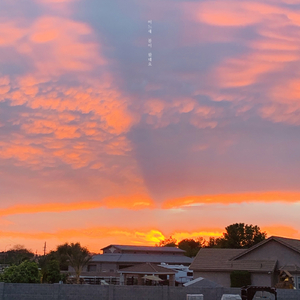 어느새 봄이 왔네요