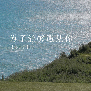 为了能够遇见你