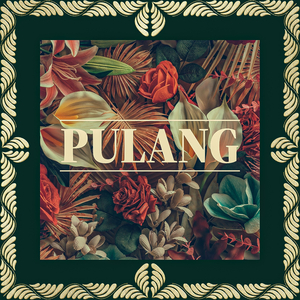 Pulang