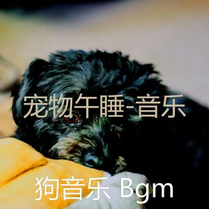 环境(训练你的狗)